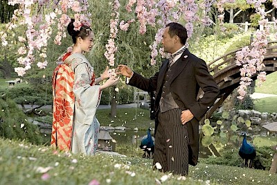 Sayuri and the Chairman under the Cherry Blossom