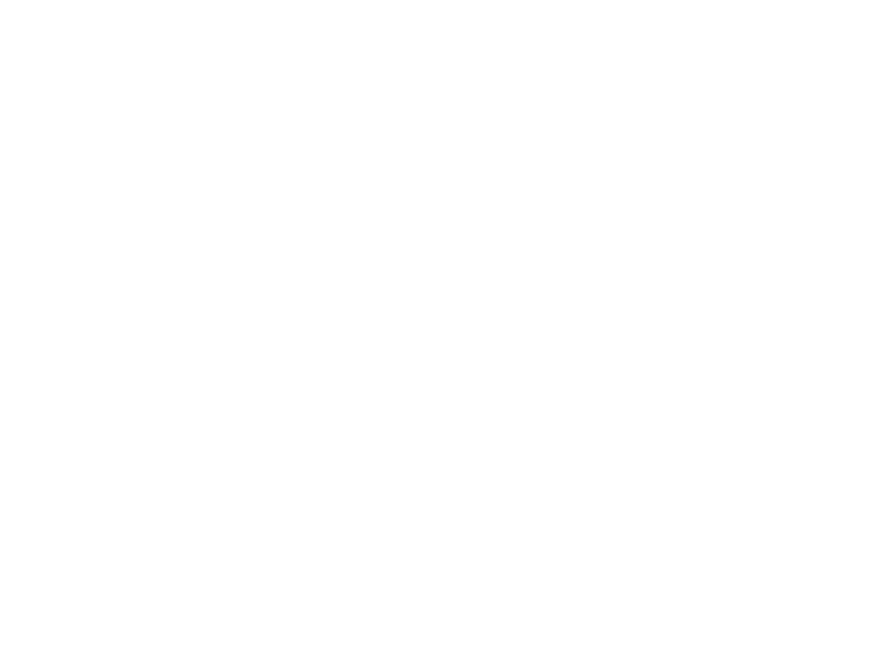 The Last Outpost Logo